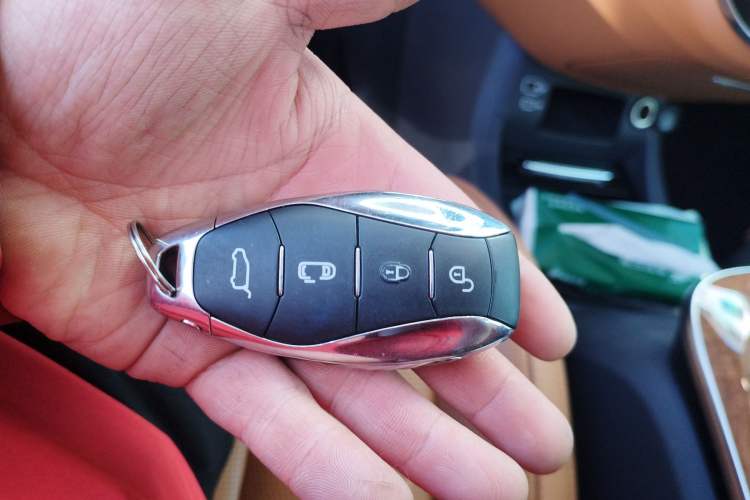 Used Hongqi HQ9 2023 2.0T Smart Connect Flagship Edition
