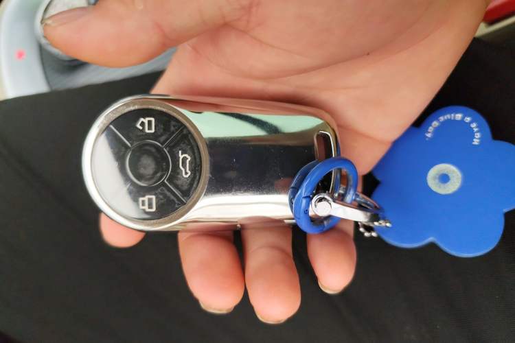 Used ORA Good Cat 2022 Morandi Edition 400km Standard Range Premium Version Lithium Iron Phosphate Vehicle Key