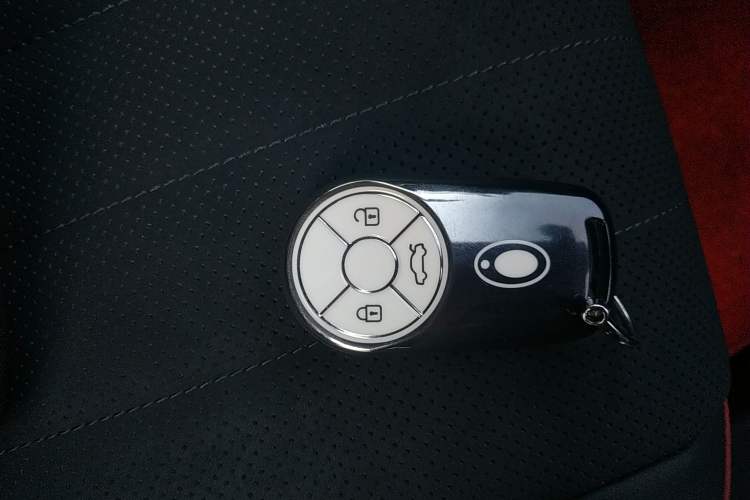 Used ORA Good Cat GT 2025 Model, Mulan Edition, 430km Luxury Version
