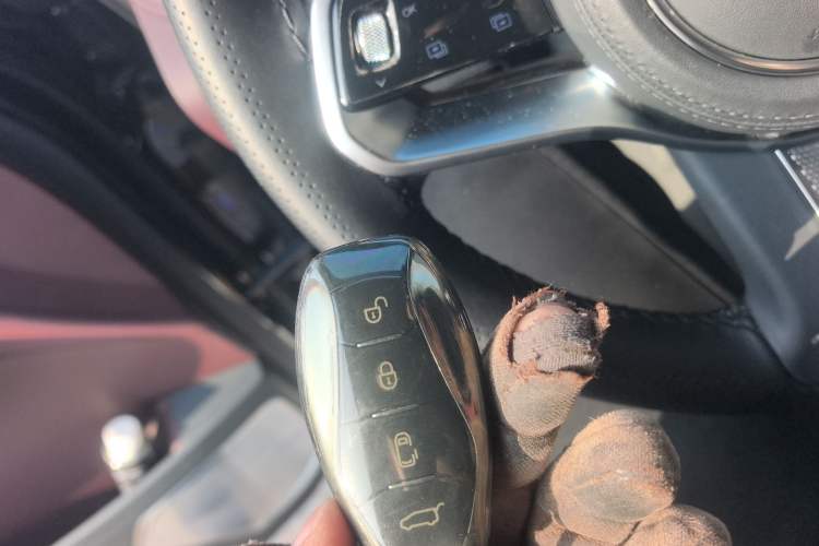 Used Hongqi HQ9 2023 2.0T Smart Connect Flagship Edition
