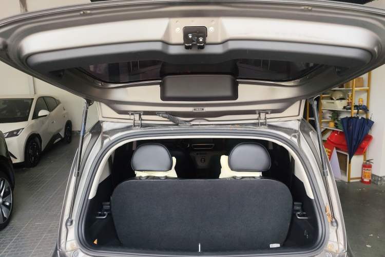 Used ORA White Cat 2020 360 km Luxury Version