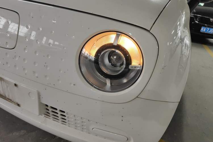 Used ORA Black Cat 2021 301 km Basic Version
