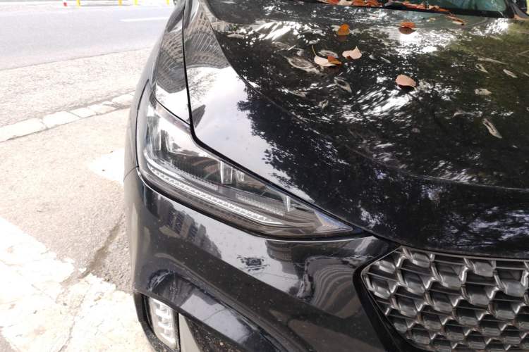 Used Wey VV6 2021 2.0T Two-Wheel Drive Smart Plus
