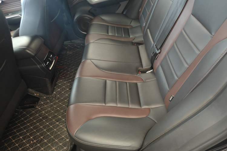 Used Wey VV5 2020 1.5T Two-Wheel Drive Smart Pioneer Left Rear Seat