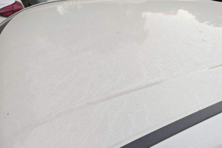 Used Honda e:NS1 2022 e-Series model
