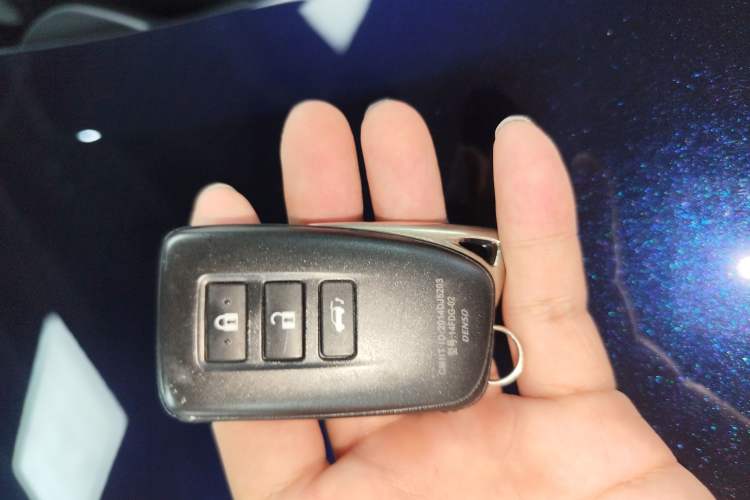 Used Lexus RX 2016 300 4x4 Elegant Edition China VI