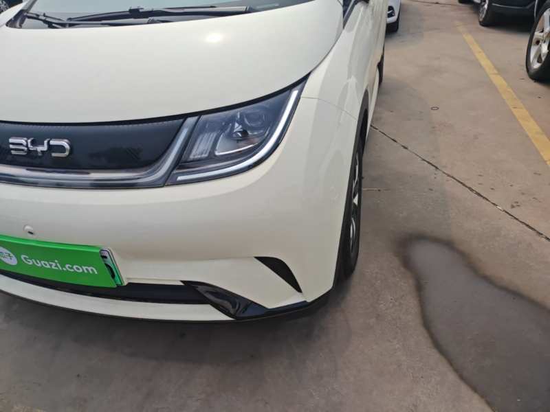 Used BYD Dolphin 2025 420km Free Edition — 23