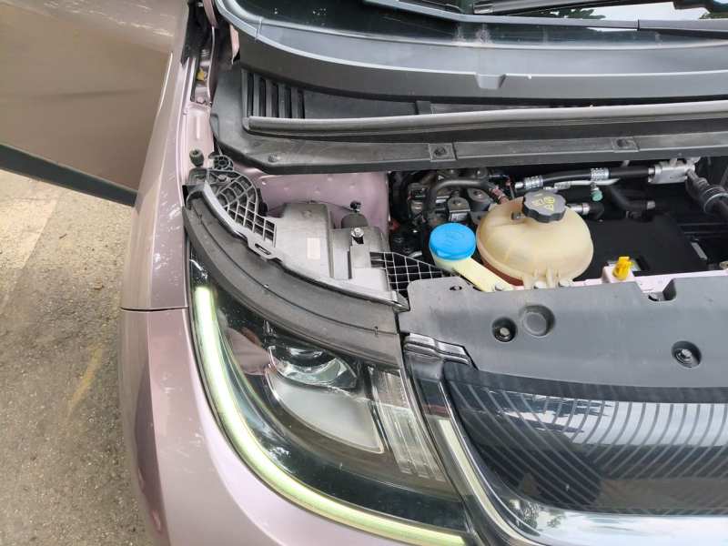 Used BYD Dolphin 2021 401km Knight Edition — 23