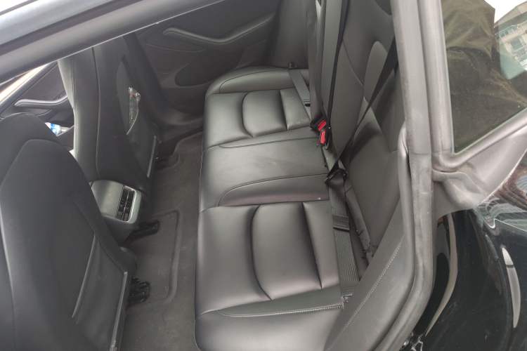 Used Tesla Model 3 2021 Standard Range Rear-Wheel Drive Upgraded Version 3D6
