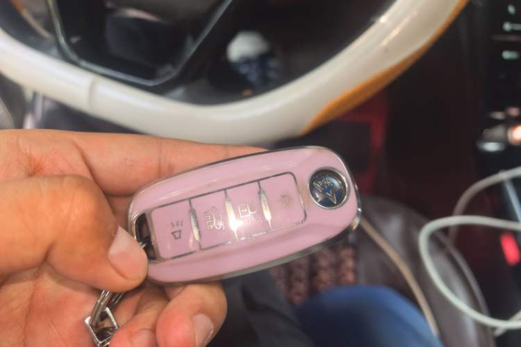 Used Venucia D60EV 2020 Standard Range Smart Drive Edition Vehicle Key