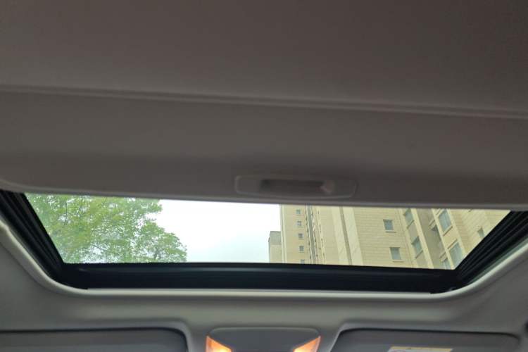 Used Toyota RAV4 2021 2.0L CVT 4x4 Trend Edition Headliner