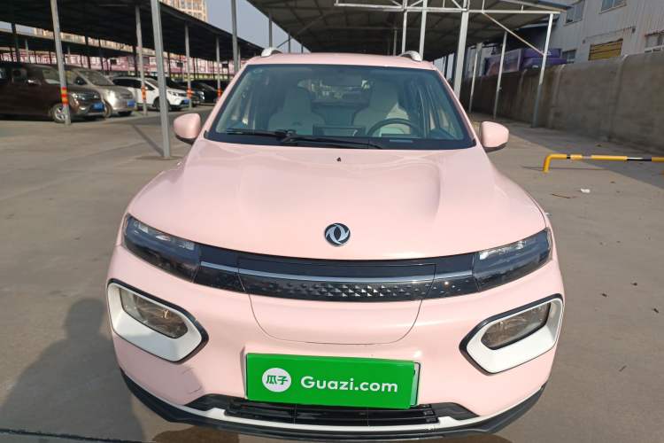 Used Dongfeng NAMMI EX1 2023 PRO Light Wind Edition Lightning Model
