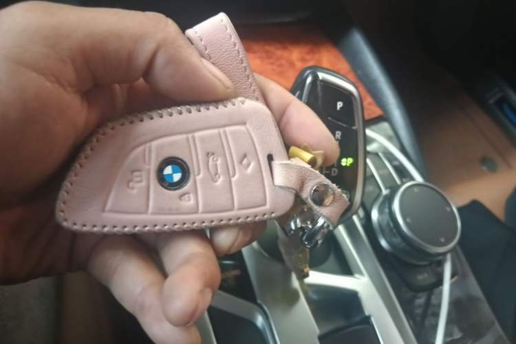 Used BMW 5 Series 2018 528Li Launch Special Edition
