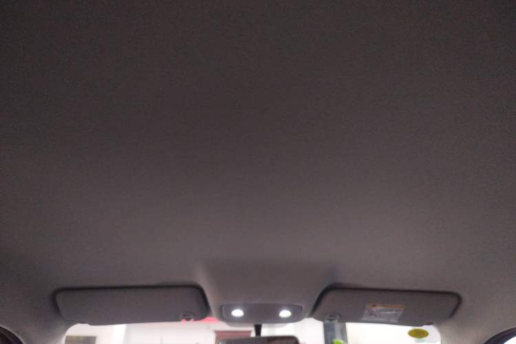 Used Leapmotor T03 2025 403 Comfort Edition Headliner