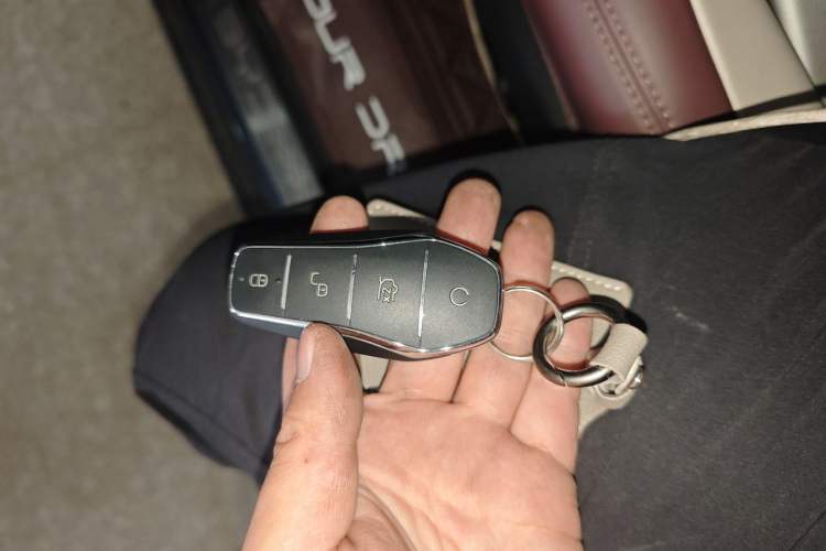 Used BYD Seal 2023 DM-i 1.5T 200km Flagship Model Vehicle Key