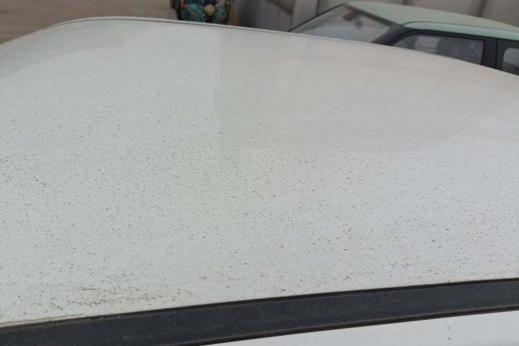 Used Chery QQ Ice Cream 2024 Edition Youth Version 205km Sundae