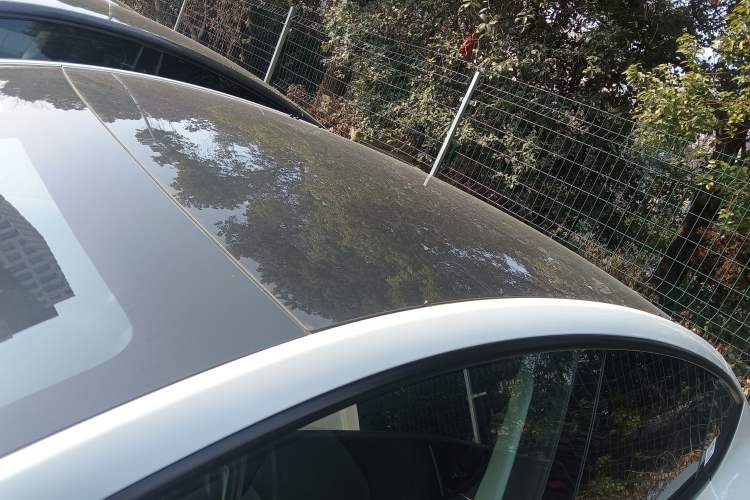 Used Tesla Model Y 2025 Rear-Wheel-Drive Version
