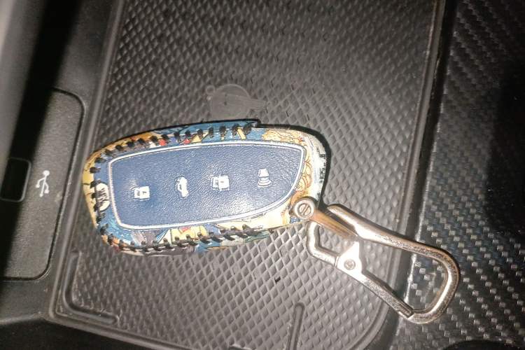 Used Haval H Dog 2023 2.0T All-Wheel-Drive Chaoye Plus