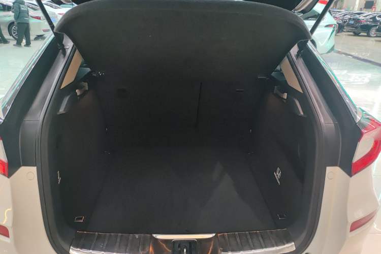 Used Honda Avancier 2017 370TURBO 2WD Luxury Edition