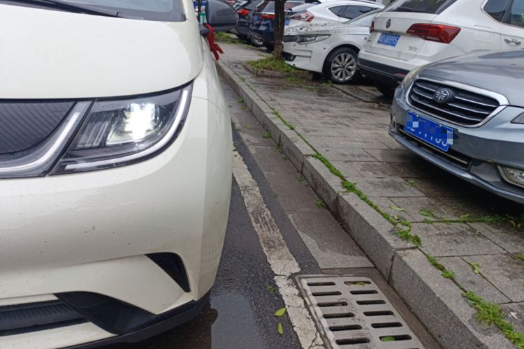 Used BYD Dolphin 2025 420km Free Edition
