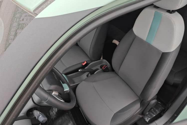 Used Qiyuan Lumin 2023 205km Xiangqin Version