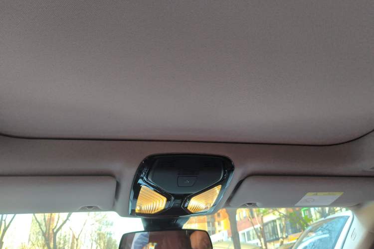 Used BMW 3 Series 2021 Second Facelift 325Li M Sport Package Headliner