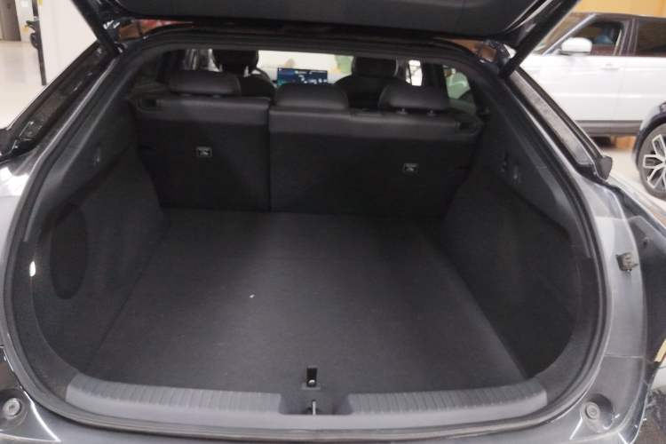 Used XPeng P7+ 2024 Long-Range Max
