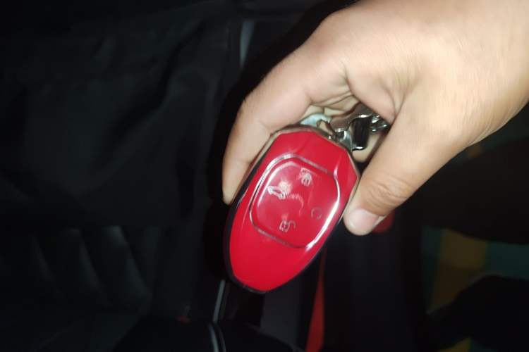 Used GAC Trumpchi GS8 2022 Double-Energy Series 2.0TM Four-Wheel Drive Premium Edition (7 Seats)