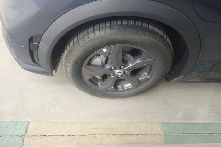 Used Ford Mustang Mach-E 2021 Leap Edition Rear-Drive Version (Standard Range)
