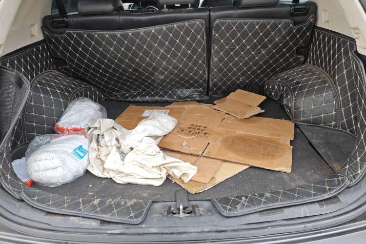 Used CHANGAN CS55PLUS 2021 Blue Whale Edition 1.5T Manual Luxury Model