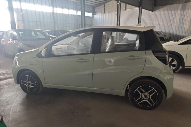 Used SOL E10X 2022 Flower Fairy Design Four-Leaf Clover
