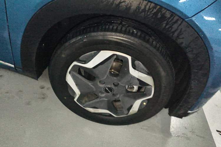 Used BYD Dolphin 2021 405 km Free Version