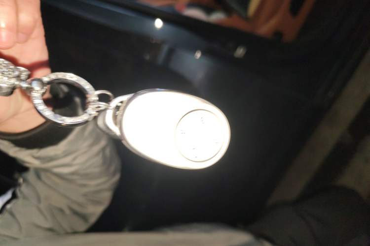 Used AION V 2026 Model Aion Tyrannosaurus Family Edition 520 Zhi Hao Edition