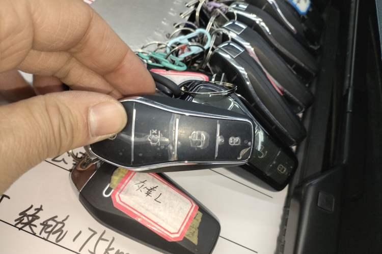 Used BYD Tang New Energy 2025 Model Smart Drive Version DM-i 175KM Prestige Version
