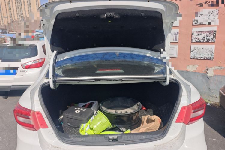 Used FORTHING S50 2021 Operational Type
