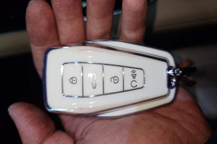 Used Geely Auto Monjaro L 2025 Dongfang Yao 2.0TD Automatic Lanxing Edition
