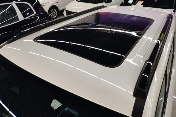 Used Haval X DOG 2022 1.5T DCT Two-Wheel Drive Trendy Sound Edition
