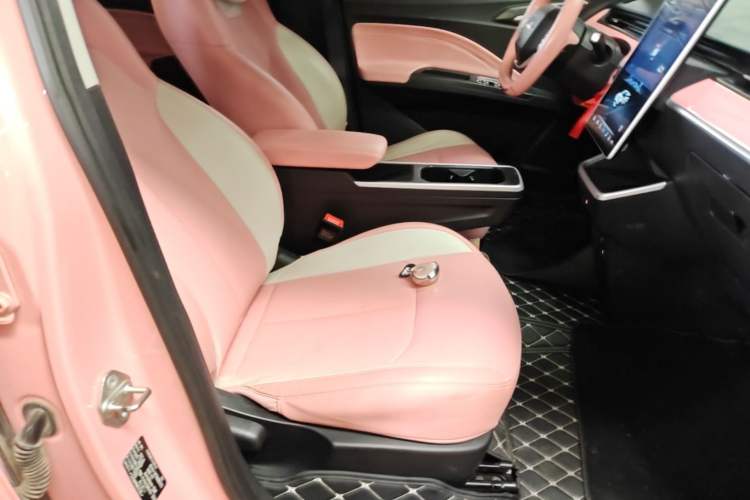 Used NETA V 2022 Chao 400 Lite Pink Custom Edition
