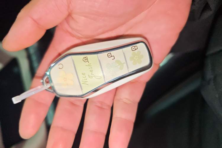 Used BYD Dolphin 2023 420 km Free Version
