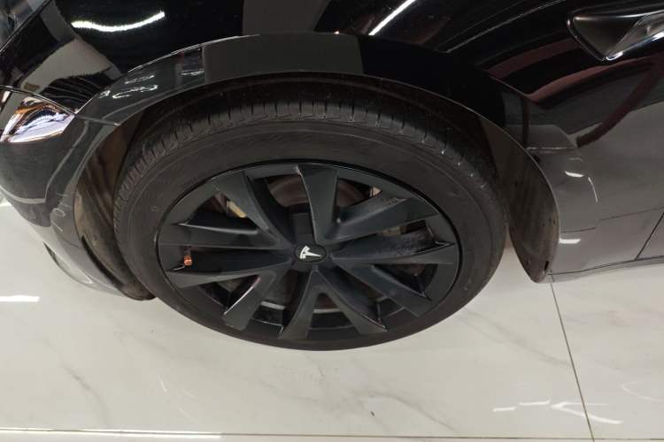 Used Tesla Model 3 2022 Rear-Wheel-Drive Version Exterior 4