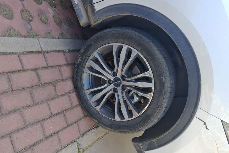 Used Haval F7 2021 2.0T Two-Wheel Drive i-Van