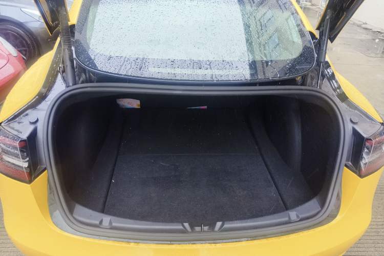 Used Tesla Model 3 2021 Standard Range Rear-Wheel Drive Upgraded Version 3D6