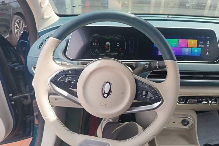 Used ORA Good Cat 2023 401 km Standard Range Luxury Version Lithium Iron Phosphate
