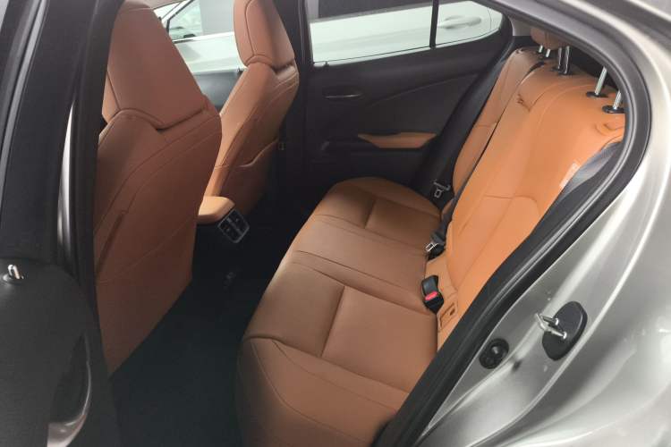 Used Lexus UX New Energy 2020 300e Pure·Joy Edition Left Rear Seat