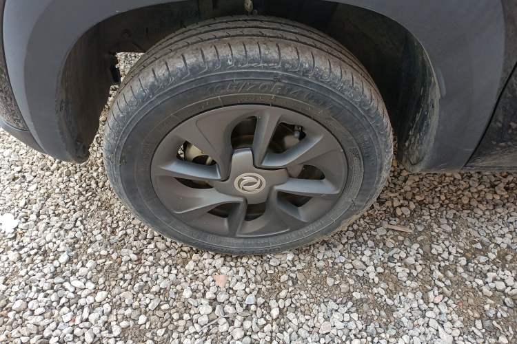 Used Dongfeng NAMMI EX1 2022 PRO Tiger Glory Luxury Model
