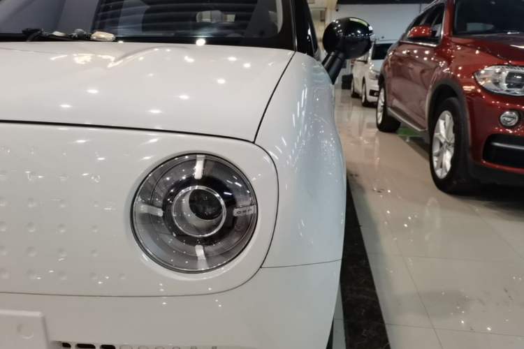 Used ORA Black Cat 2019 351 km Family Edition
