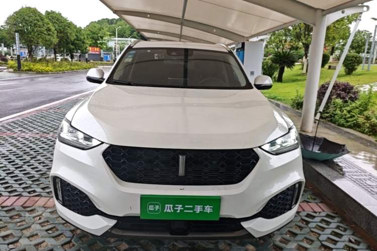 Used Wey VV6 2019 2.0T Two-Wheel-Drive Ultra-Luxury Version China VI Standard