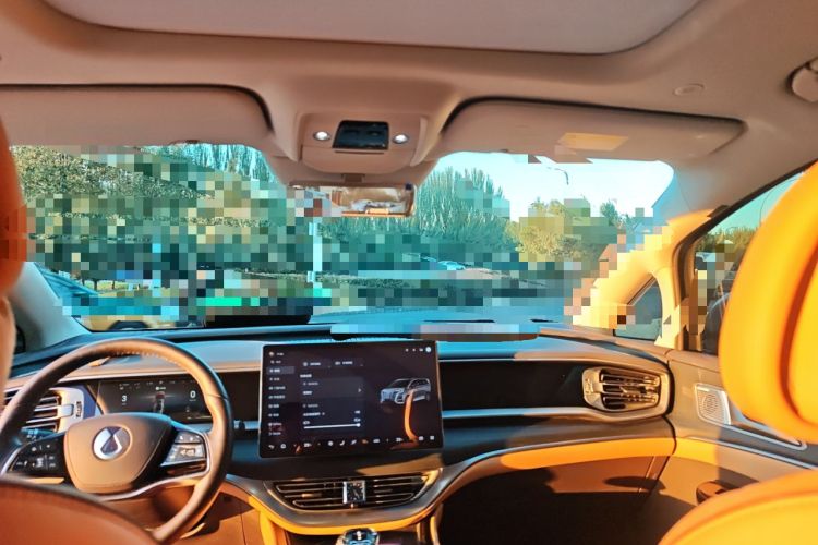 Used Denza D9 2024 DM-i 980 Four-Wheel Drive Prestige Model Headliner