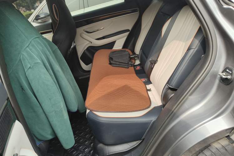 Used BYD Song PLUS New Energy 2021 DM-i 110KM Flagship PLUS Left Rear Seat