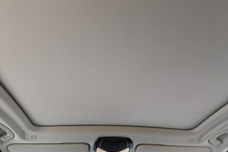 Used BMW iX3 2022 Leading Type Headliner